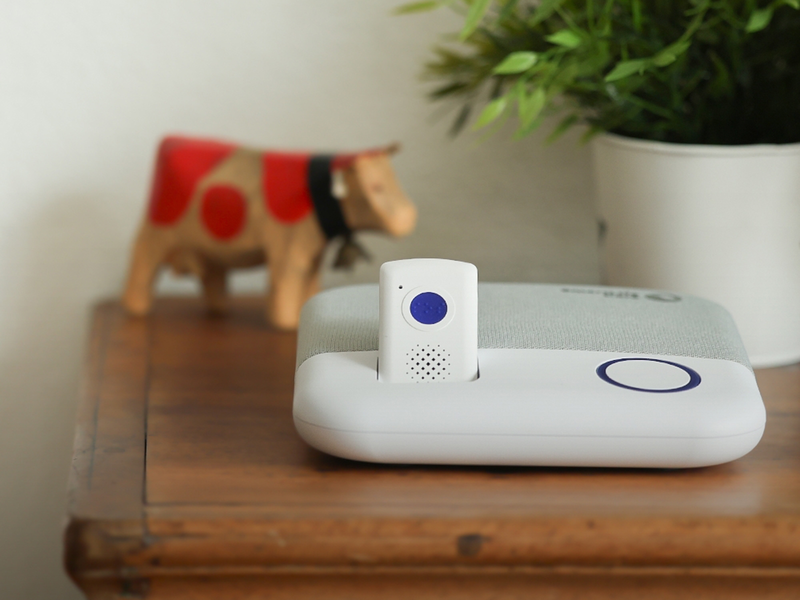 Dritter Innovationspreis für SmartLife Care: Notrufgerät „Flex ...